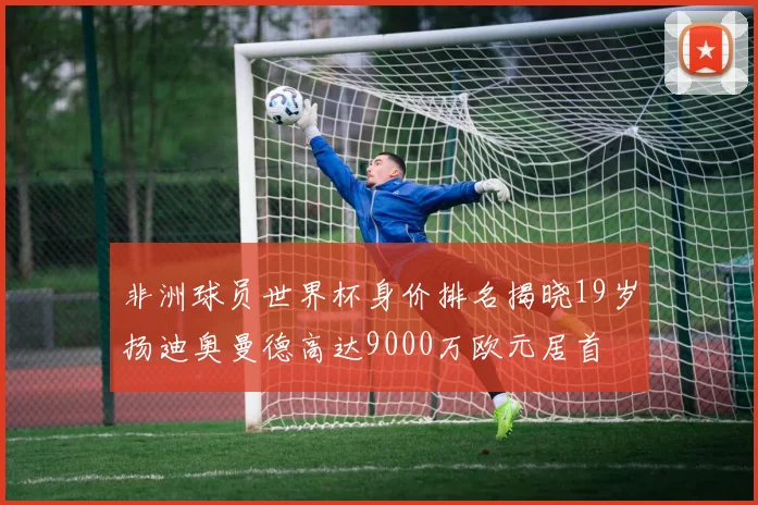 非洲球员世界杯身价排名揭晓19岁扬迪奥曼德高达9000万欧元居首
