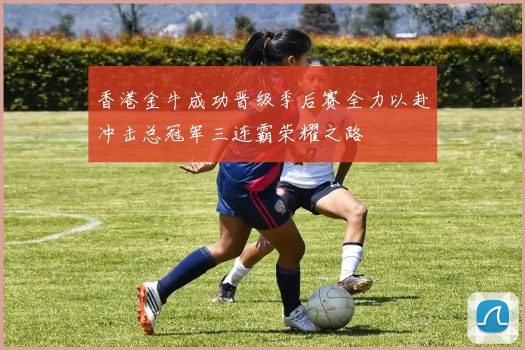 香港金牛成功晋级季后赛全力以赴冲击总冠军三连霸荣耀之路